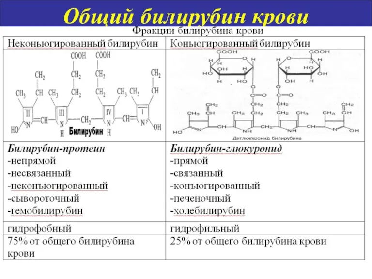 Общий билирубин крови