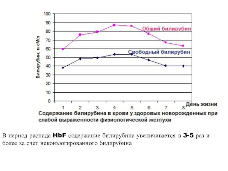 В период распада HbF содержание билирубина увеличивается в 3-5 раз и более за счет неконъюгированного билирубина