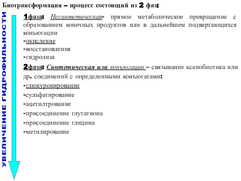 1фаза: Несинтетическая- прямое метаболическое превращение с образованием конечных продуктов или в дальнейшем