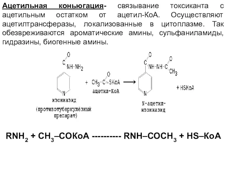 Ацетильная коньюгация- связывание токсиканта с ацетильным остатком от ацетил-КоА. Осуществляют ацетилтрансферазы, локализованные