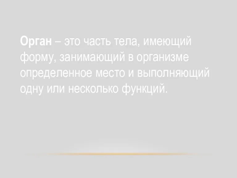 Орган – это часть тела, имеющий форму, занимающий в организме определенное место