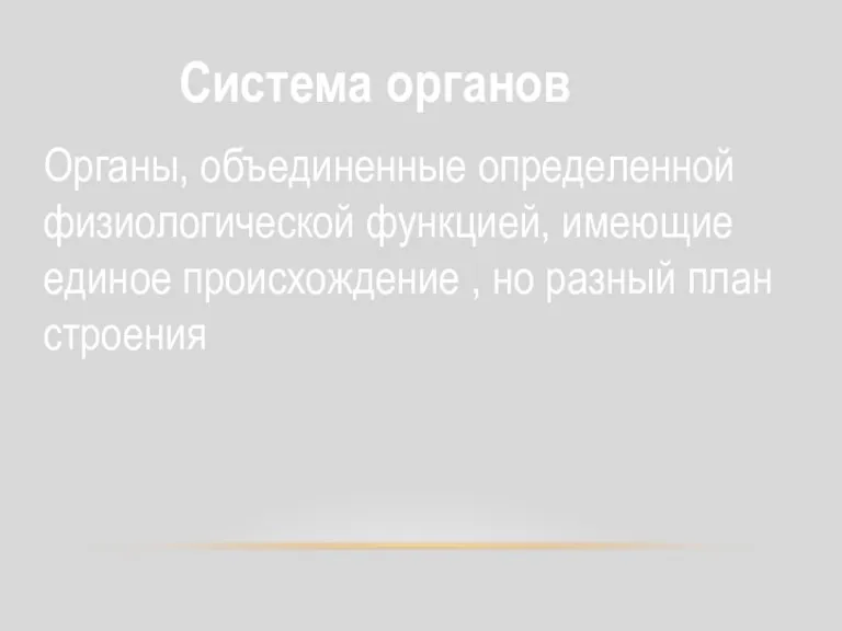 Органы, объединенные определенной физиологической функцией, имеющие единое происхождение , но разный план строения Система органов