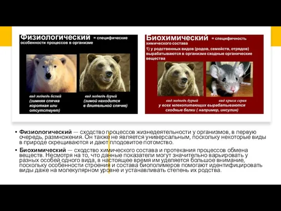 Физиологический — сходство процессов жизнедеятельности у организмов, в первую очередь, размножения. Он