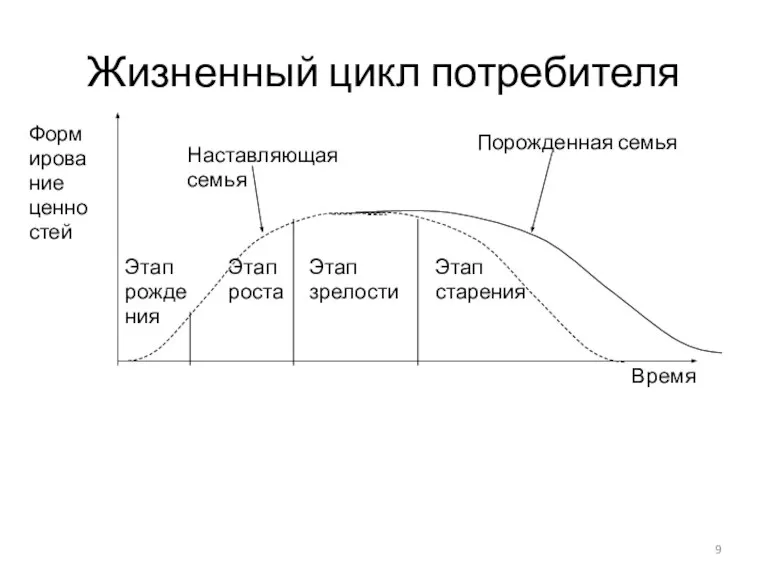 Жизненный цикл потребителя