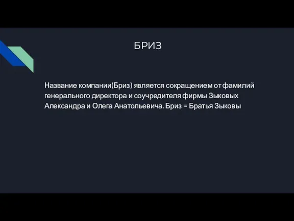 БРИЗ Название компании(Бриз) является сокращением от фамилий генерального директора и соучредителя фирмы