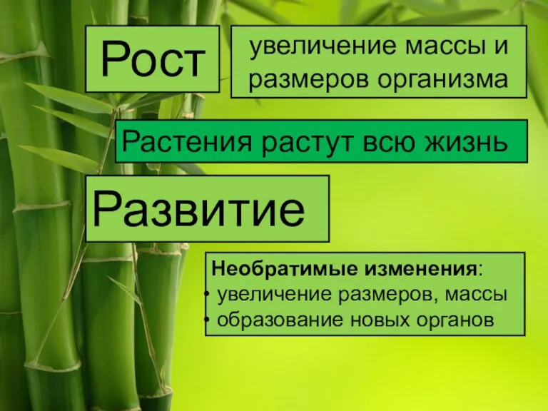 Рост увеличение массы и размеров организма Растения растут всю жизнь Развитие Необратимые