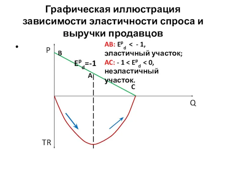 Графическая иллюстрация зависимости эластичности спроса и выручки продавцов P TR Q Epd=-1