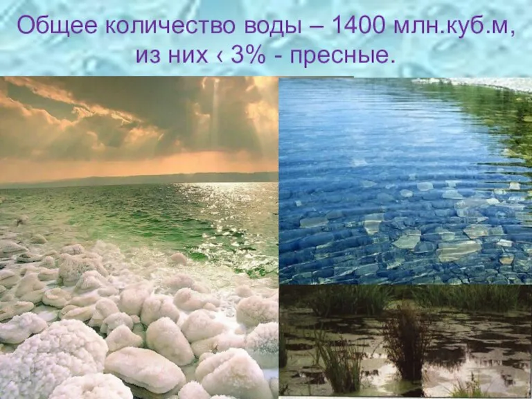 Общее количество воды – 1400 млн.куб.м, из них ‹ 3% - пресные.