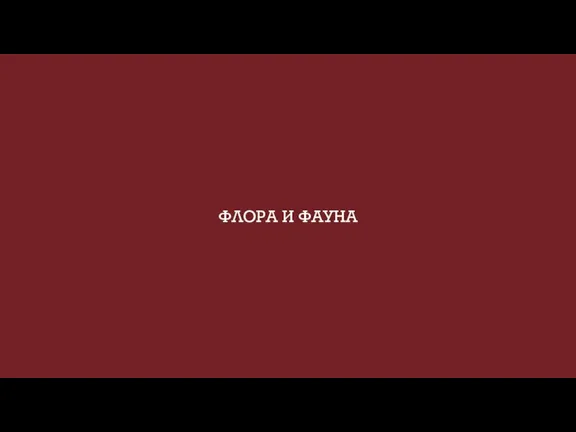 ФЛОРА И ФАУНА