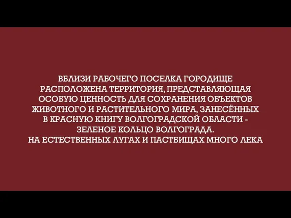 ВБЛИЗИ РАБОЧЕГО ПОСЕЛКА ГОРОДИЩЕ РАСПОЛОЖЕНА ТЕРРИТОРИЯ, ПРЕДСТАВЛЯЮЩАЯ ОСОБУЮ ЦЕННОСТЬ ДЛЯ СОХРАНЕНИЯ ОБЪЕКТОВ