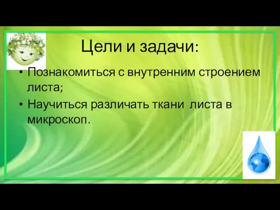 Цели и задачи: Познакомиться с внутренним строением листа; Научиться различать ткани листа в микроскоп.