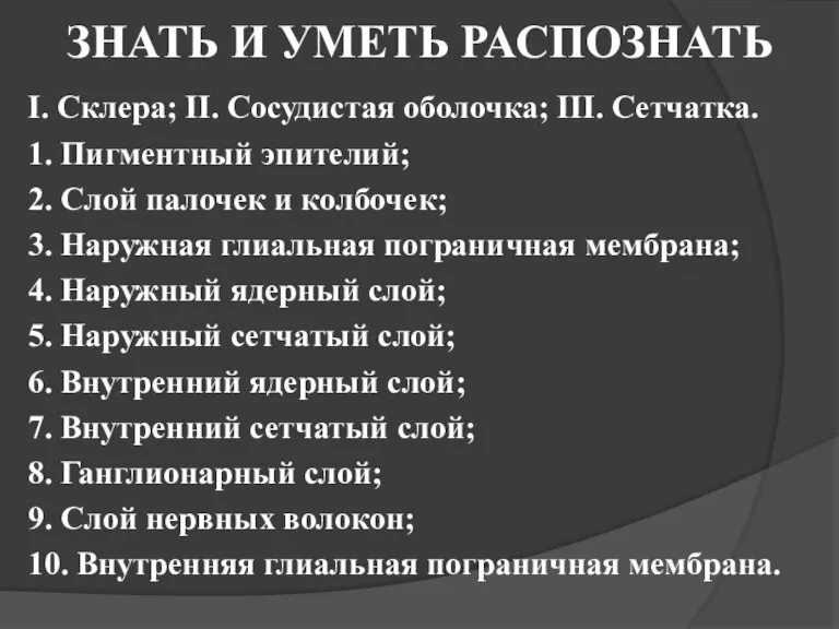 ЗНАТЬ И УМЕТЬ РАСПОЗНАТЬ I. Склера; II. Сосудистая оболочка; III. Сетчатка. 1.