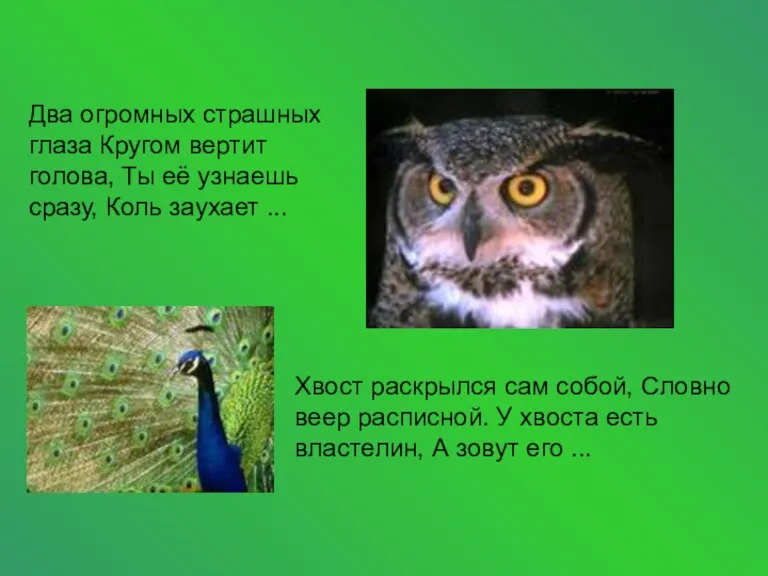 Два огромных страшных глаза Кругом вертит голова, Ты её узнаешь сразу, Коль