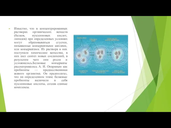 Известно, что в концентрированных растворах органических веществ (белков, нуклеиновых кислот, липидов) при