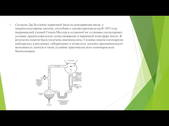 Согласно Дж.Холдейну первичной была не коацерватная капля, а макромолекулярная система, способная к