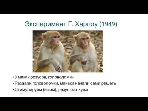 Эксперимент Г. Харлоу (1949) 8 макак резусов, головоломки Раздали головоломки, макаки начали