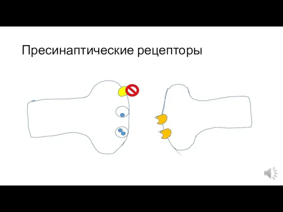 Пресинаптические рецепторы