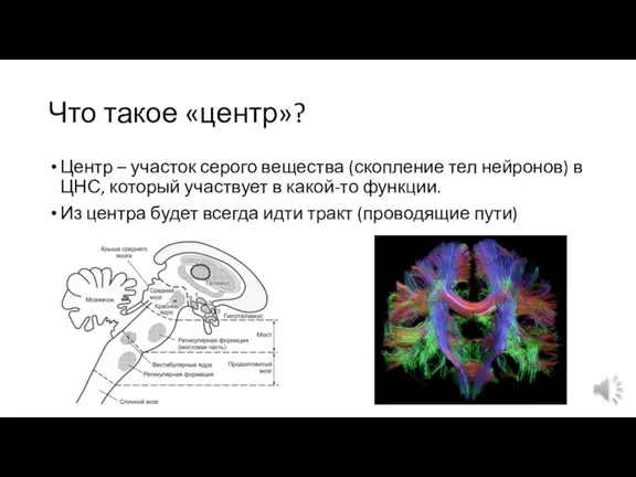 Что такое «центр»? Центр – участок серого вещества (скопление тел нейронов) в