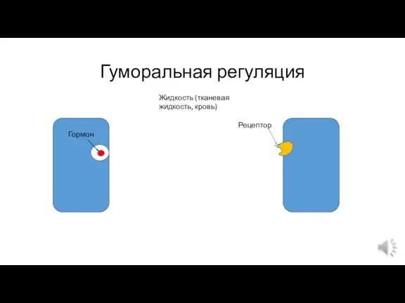 Гуморальная регуляция Гормон Рецептор Жидкость (тканевая жидкость, кровь)