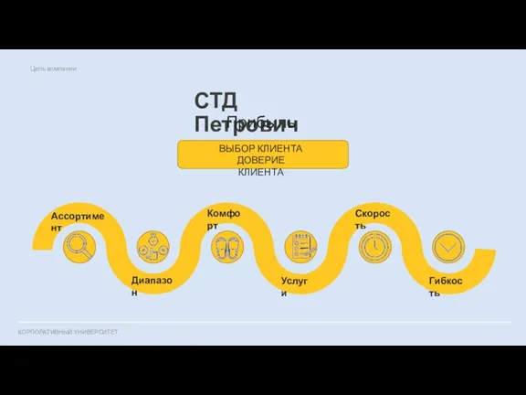 СТД Петрович Цель компании Прибыль