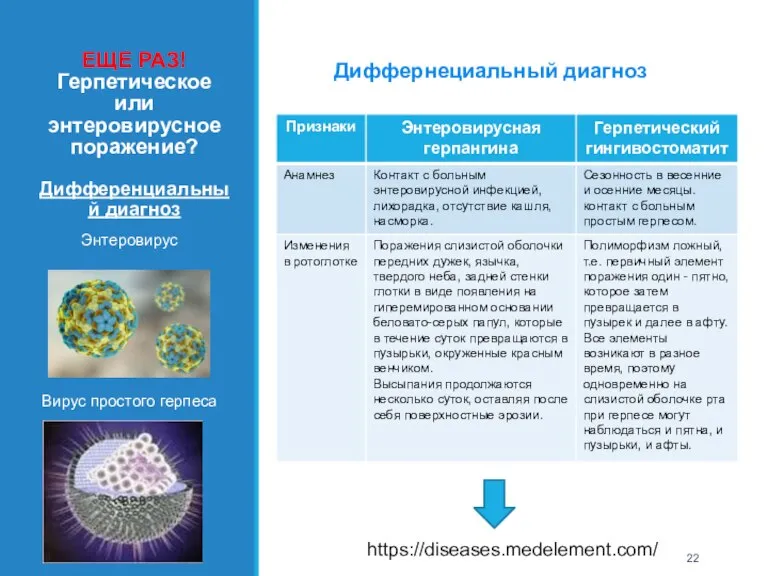 ЕЩЕ РАЗ! Герпетическое или энтеровирусное поражение? Дифференциальный диагноз Энтеровирус Вирус простого герпеса РУКА Диффернециальный диагноз https://diseases.medelement.com/