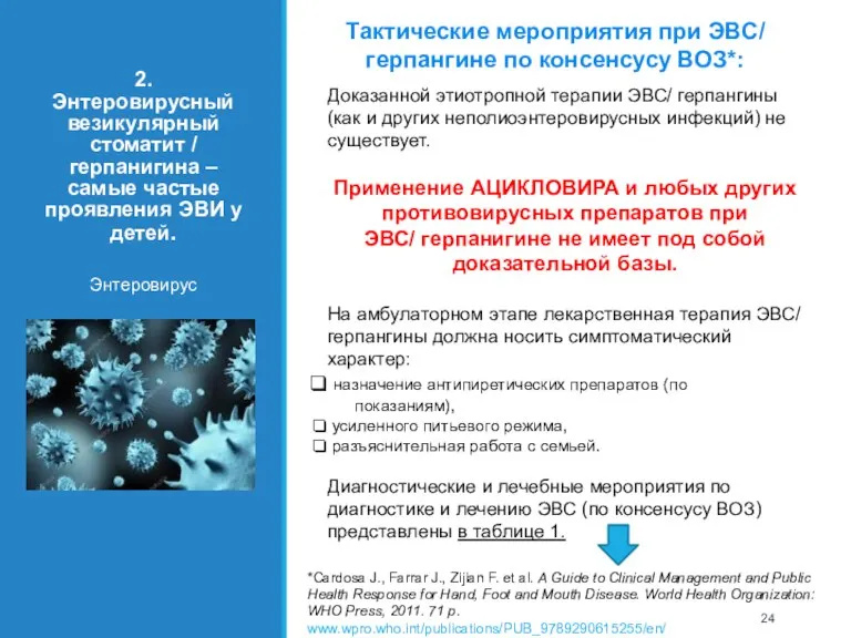 2. Энтеровирусный везикулярный стоматит / герпанигина – самые частые проявления ЭВИ у