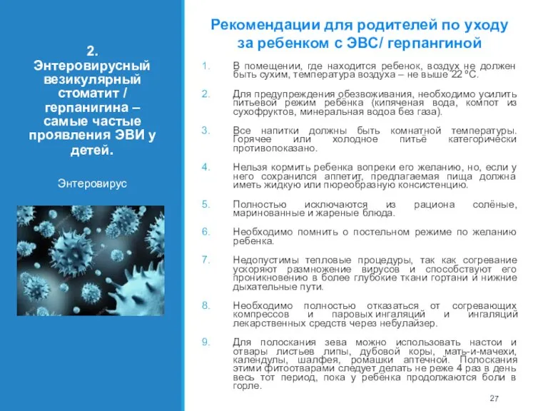 2. Энтеровирусный везикулярный стоматит / герпанигина – самые частые проявления ЭВИ у