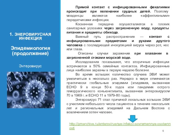 1. ЭНЕРОВИРУСНАЯ ИНФЕКЦИЯ Эпидемиология (продолжение) Энтеровирус Прямой контакт с инфицированными фекалиями происходит