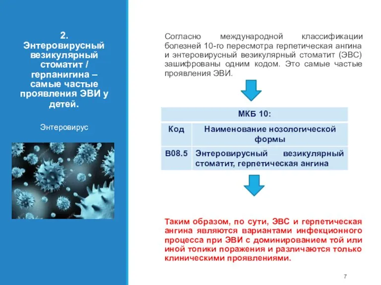 2. Энтеровирусный везикулярный стоматит / герпанигина – самые частые проявления ЭВИ у