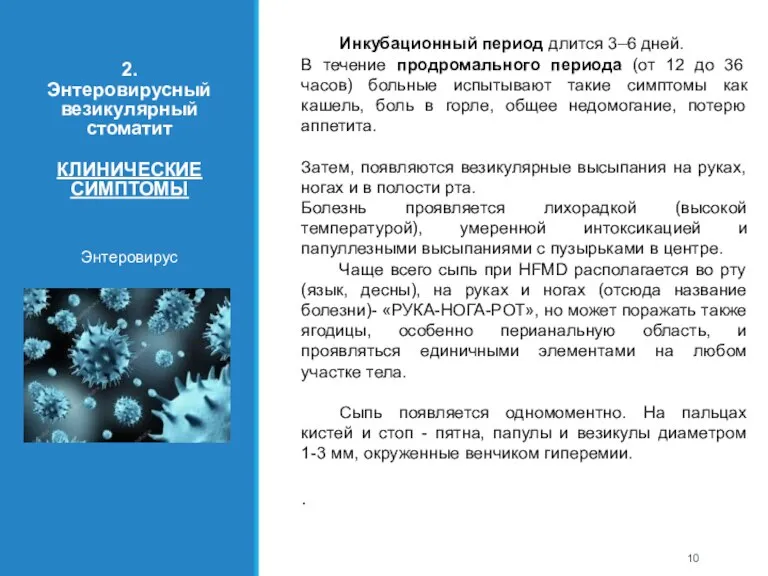 2. Энтеровирусный везикулярный стоматит КЛИНИЧЕСКИЕ СИМПТОМЫ Энтеровирус Инкубационный период длится 3–6 дней.