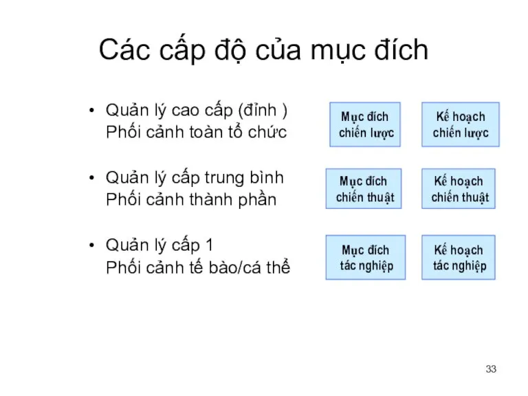 Các cấp độ của mục đích Quản lý cao cấp (đỉnh )