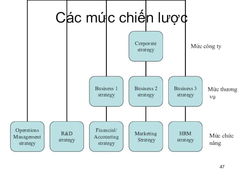 Các mức chiến lược Mức công ty Mức chức năng Mức thương vụ