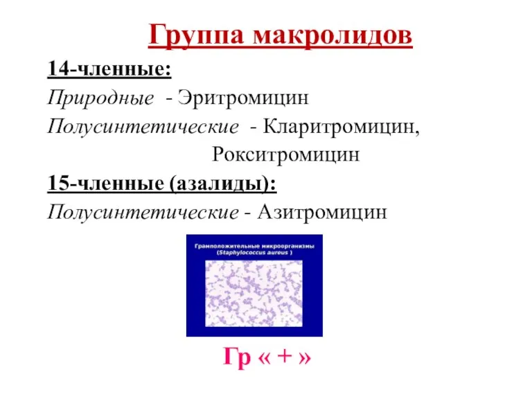 Группа макролидов 14-членные: Природные - Эритромицин Полусинтетические - Кларитромицин, Рокситромицин 15-членные (азалиды):
