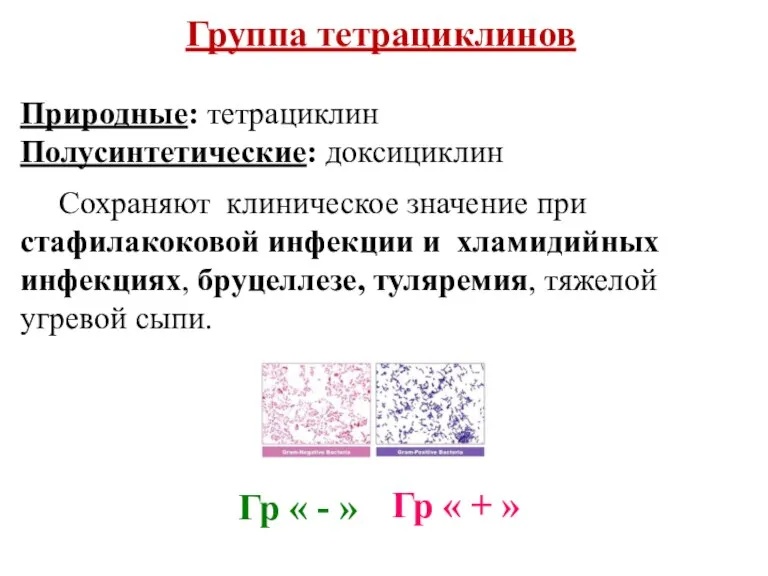 Группа тетрациклинов Природные: тетрациклин Полусинтетические: доксициклин Сохраняют клиническое значение при стафилакоковой инфекции