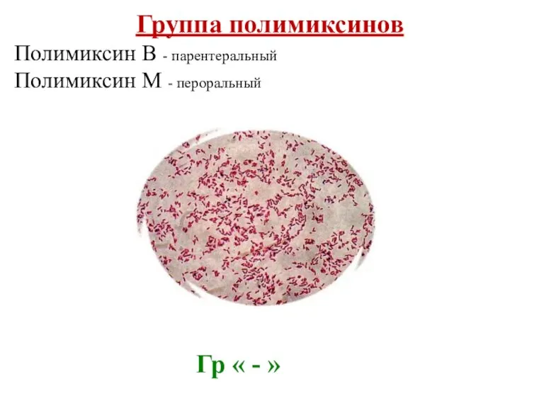 Группа полимиксинов Полимиксин В - парентеральный Полимиксин М - пероральный Гр « - »