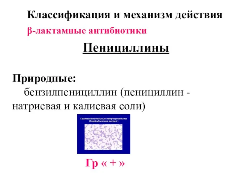 Классификация и механизм действия β-лактамные антибиотики Пенициллины Природные: бензилпенициллин (пенициллин - натриевая