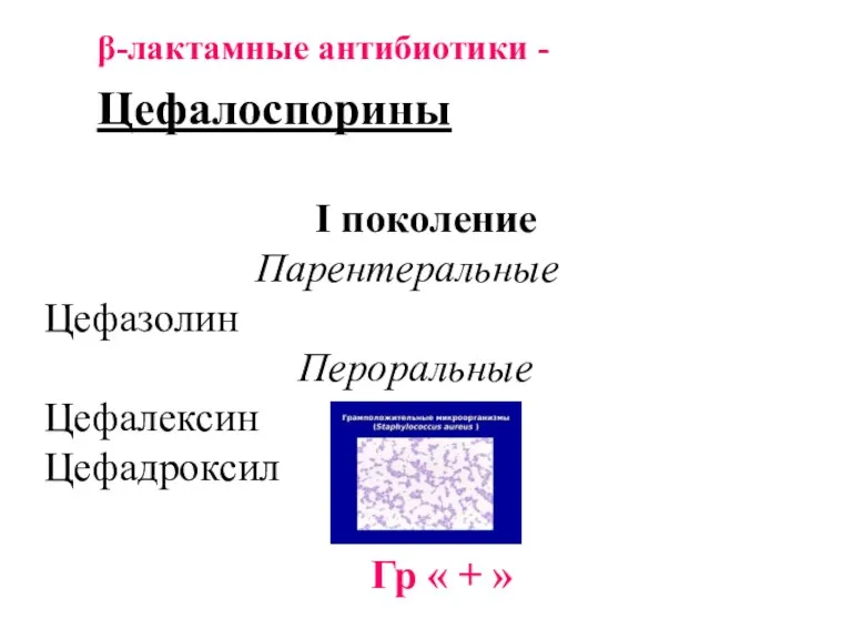 β-лактамные антибиотики - Цефалоспорины I поколение Парентеральные Цефазолин Пероральные Цефалексин Цефадроксил Гр « + »