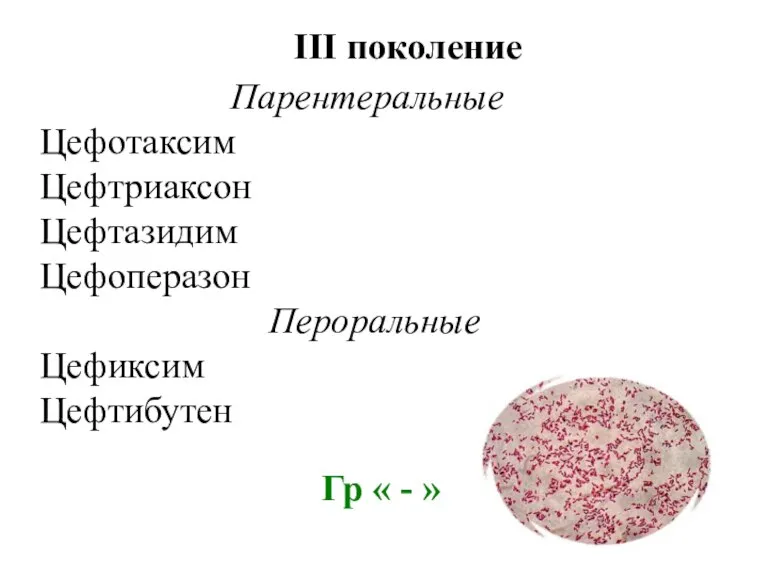 III поколение Парентеральные Цефотаксим Цефтриаксон Цефтазидим Цефоперазон Пероральные Цефиксим Цефтибутен Гр « - »