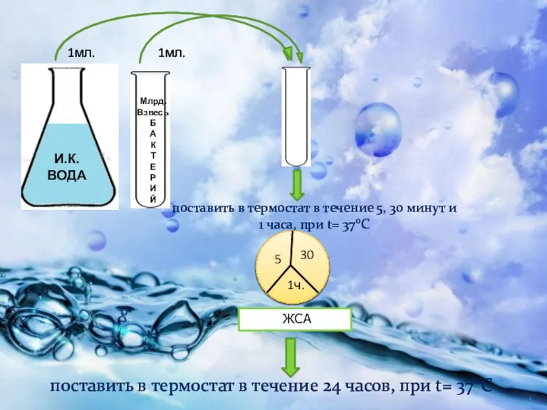 ЖСА поставить в термостат в течение 24 часов, при t= 370C 1мл.