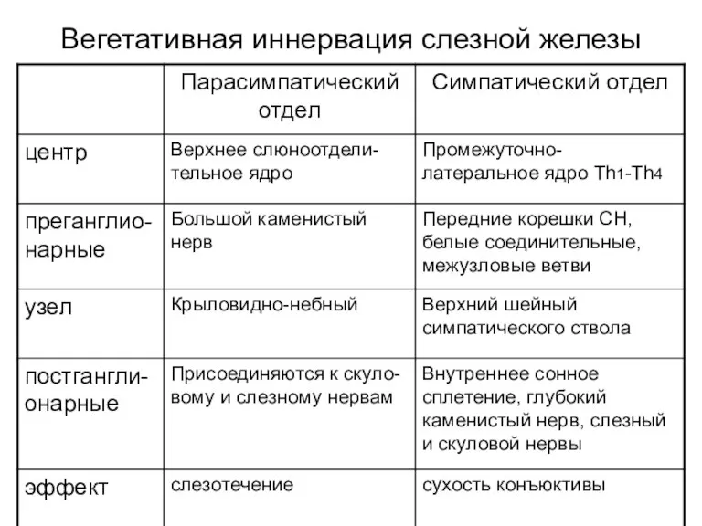 Вегетативная иннервация слезной железы