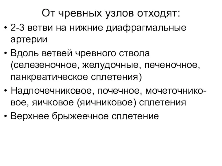 От чревных узлов отходят: 2-3 ветви на нижние диафрагмальные артерии Вдоль ветвей