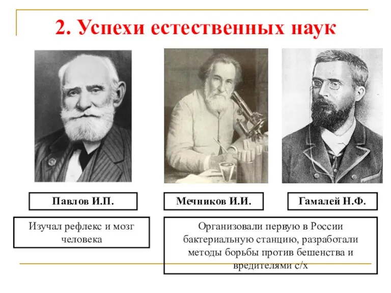 2. Успехи естественных наук Павлов И.П. Изучал рефлекс и мозг человека Мечников