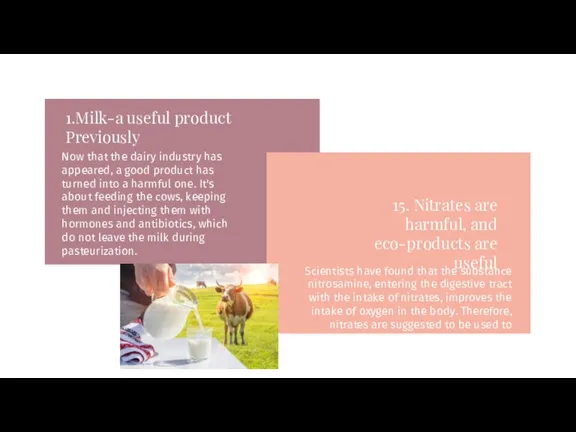 1.Milk-a useful product Previously Now that the dairy industry has appeared, a