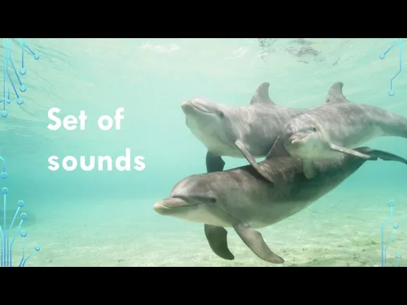 Set of sounds