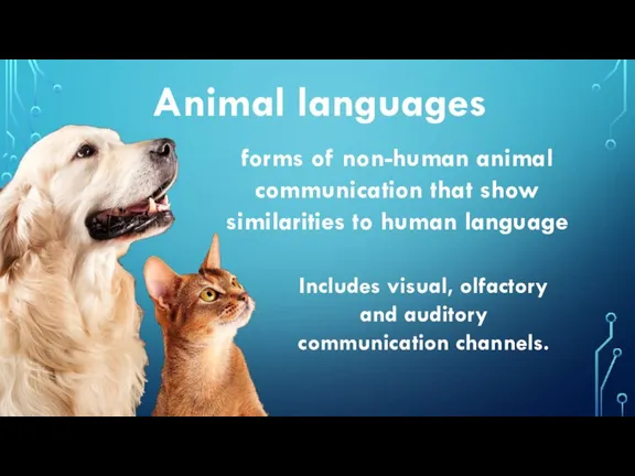 Animal languages forms of non-human animal communication that show similarities to human