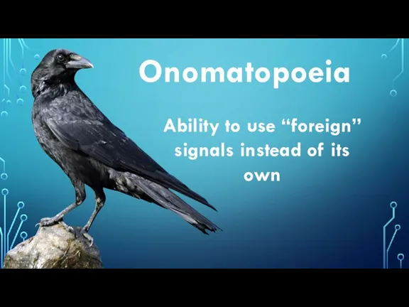 Onomatopoeia Ability to use “foreign” signals instead of its own