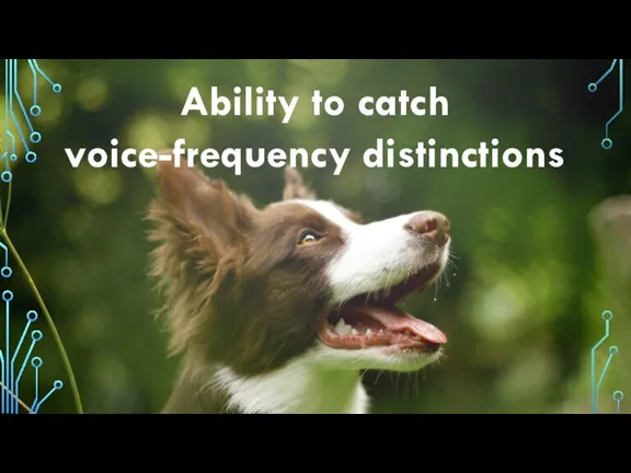 Ability to catch voice-frequency distinctions