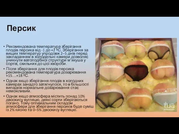 Персик Рекомендована температура зберігання плодів персика від -1 до +2 ºС. Зберігання