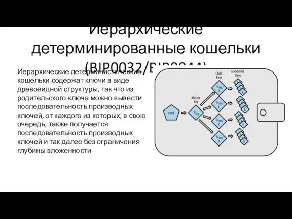 Иерархические детерминированные кошельки (BIP0032/BIP0044) Иерархические детерминистические кошельки содержат ключи в виде древовидной