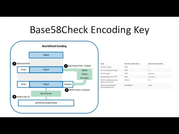 Base58Check Encoding Key